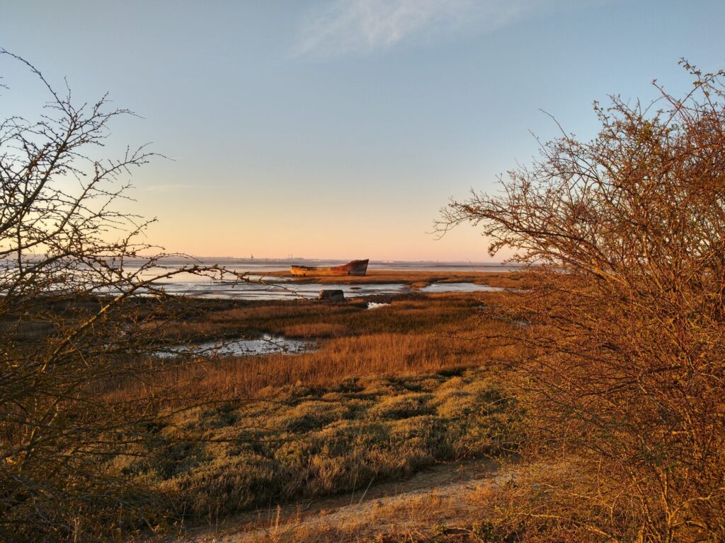 East Medway U3A 
Riverside country park 